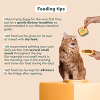 Ingredients infographic for the Ziggy Sterilised Cat Chicken pâté