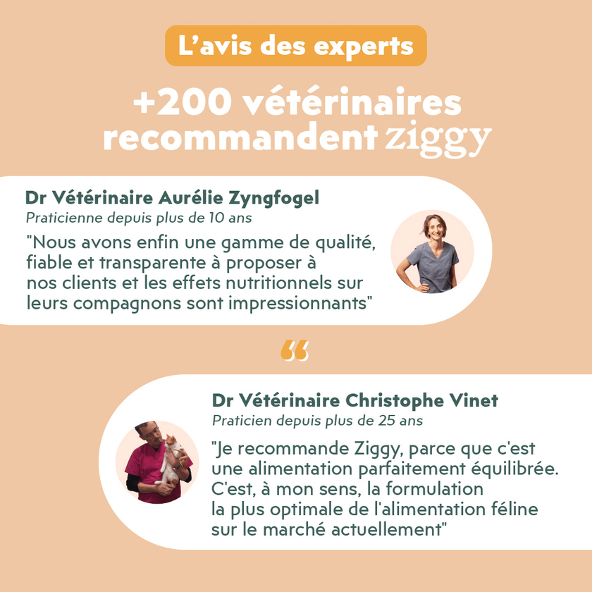 L'avis vétérinaire sur la pâtée pour chat adulte stérilisé Ziggy saine et sans céréales