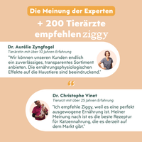Von Tierärzten empfohlenes Ziggy sterilisiertes Hühnchen-Nassfutter für Katzen