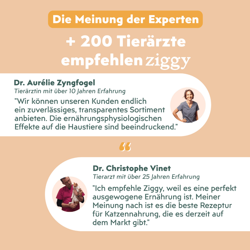 Von Tierärzten empfohlenes Ziggy sterilisiertes Hühnchen-Nassfutter für Katzen