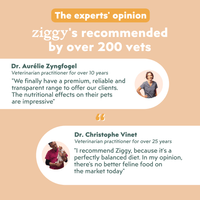 Benefits infographic for the Ziggy adult sterilised cat pâté with chicken