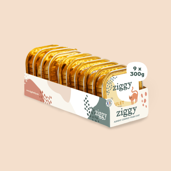 Barquette de pâtée pour chat adulte stérilisé de 100g au poulet de la marque d'alimentation pour chats et chatons saine et sans céréales Ziggy