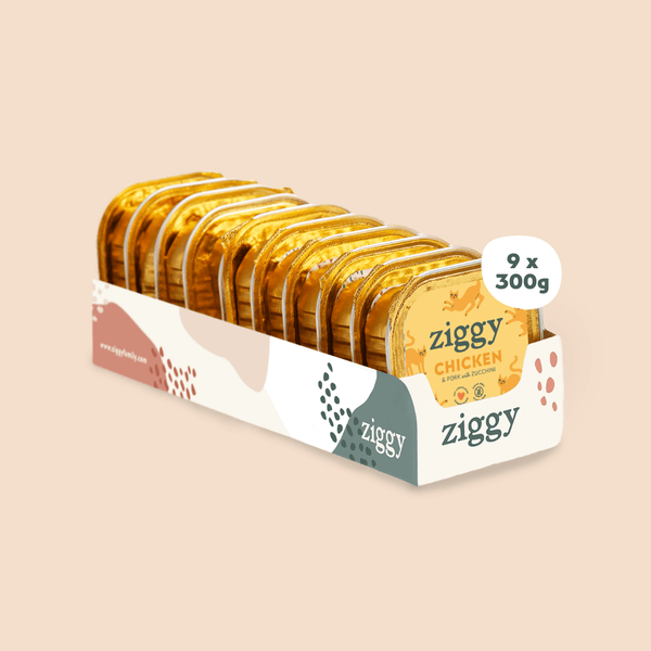 Barquette de pâtée pour chat adulte stérilisé de 100g au poulet de la marque d'alimentation pour chats et chatons saine et sans céréales Ziggy