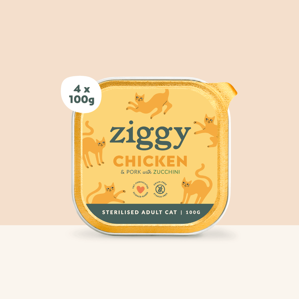 Boite de 4 pâtées Ziggy de 100g pour chat adulte stérilisé au poulet, saines et sans céréales