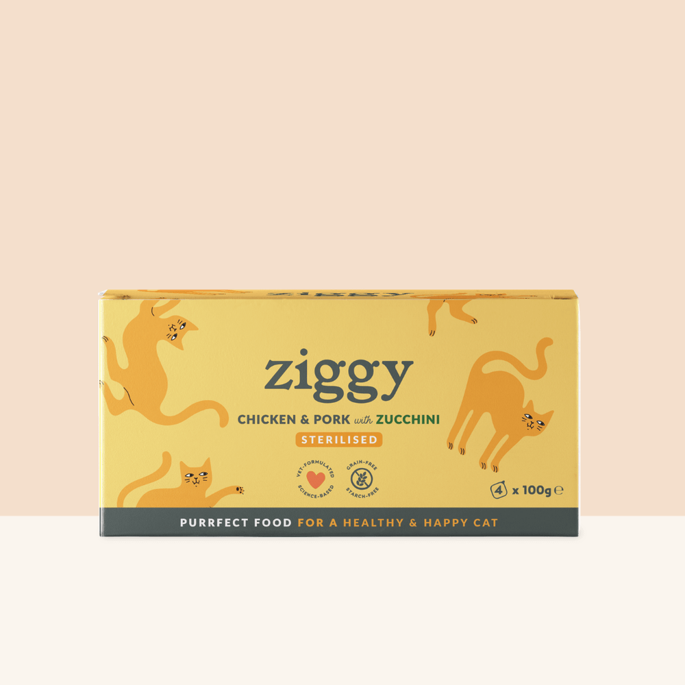 Boite de 4 pâtées Ziggy de 100g pour chat adulte stérilisé au poulet, saines et sans céréales