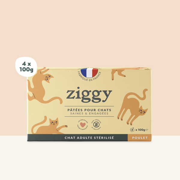 Barquette de pâtée pour chat adulte stérilisé de 100g au poulet de la marque d'alimentation pour chats et chatons saine et sans céréales Ziggy