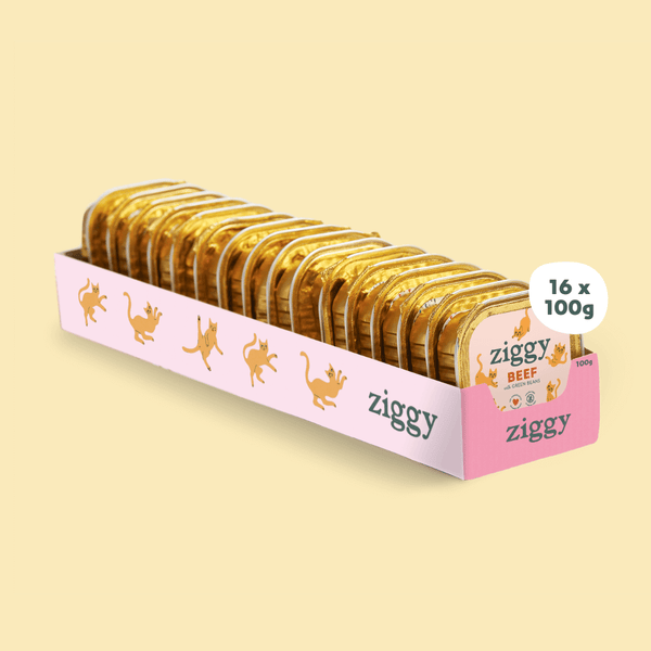 Barquette de 100g de pâtées Ziggy pour chaton au boeuf, saines et sans céréales