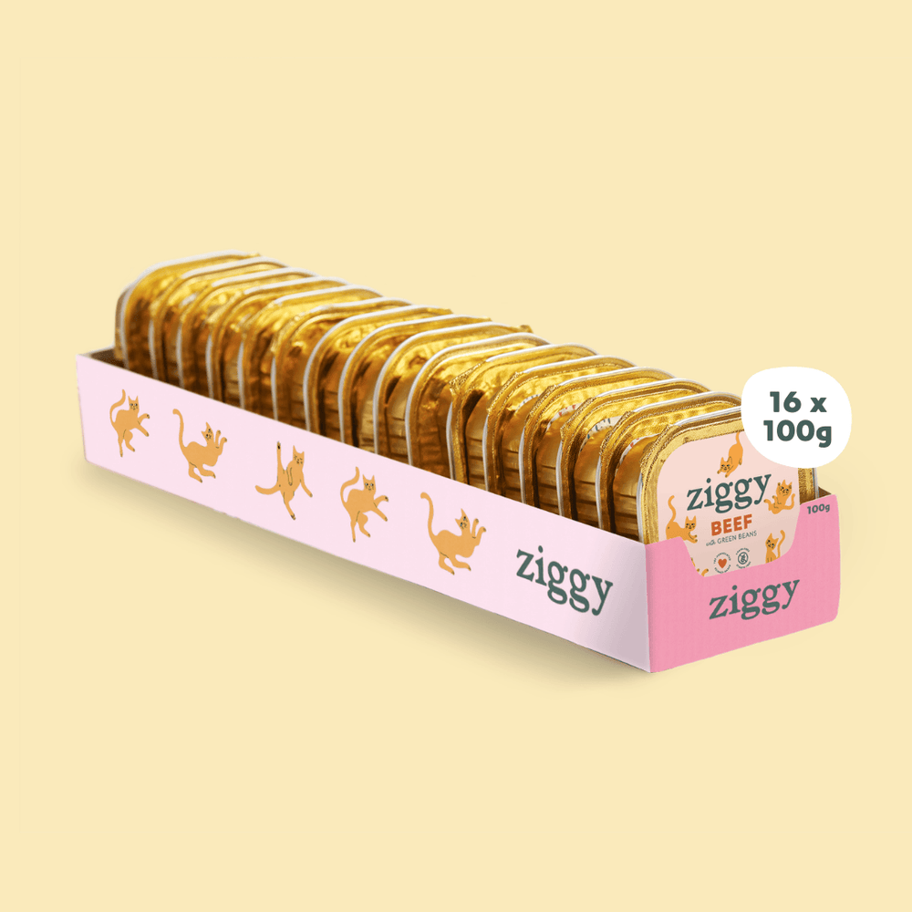 Barquette de 100g de pâtées Ziggy pour chaton au boeuf, saines et sans céréales