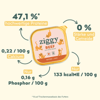 Zusammensetzung des gesunden, stärkefreien Ziggy-Kätzchenfutters mit Rindfleisch