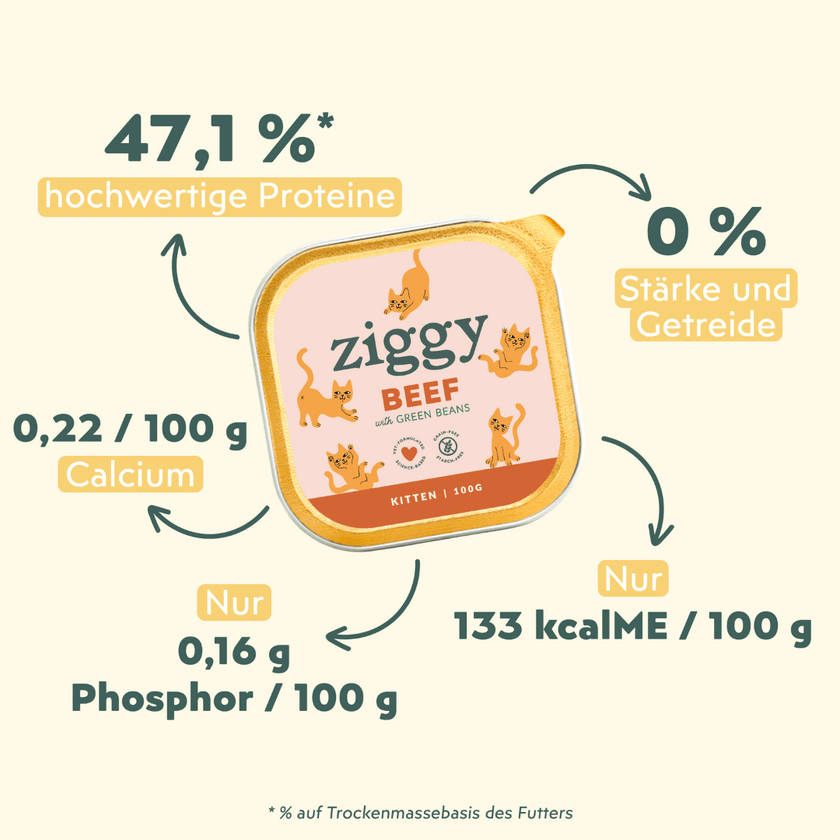 Zusammensetzung des gesunden, stärkefreien Ziggy-Kätzchenfutters mit Rindfleisch