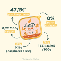 Composition of Ziggy kitten wet food with beef, healthy and starch-free