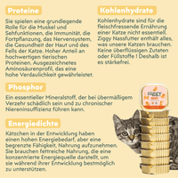 Analytische Zusammensetzung des gesunden und stärkefreien Ziggy-Kätzchenfutters mit Rindfleisch