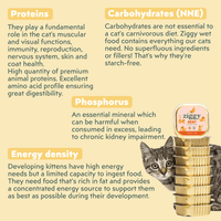 Analytical composition of Ziggy beef kitten food, healthy and starch-free