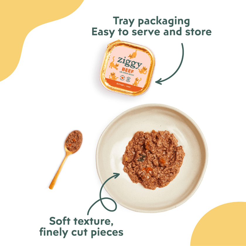 Texture and packaging of Ziggy beef kitten food, healthy and starch-free