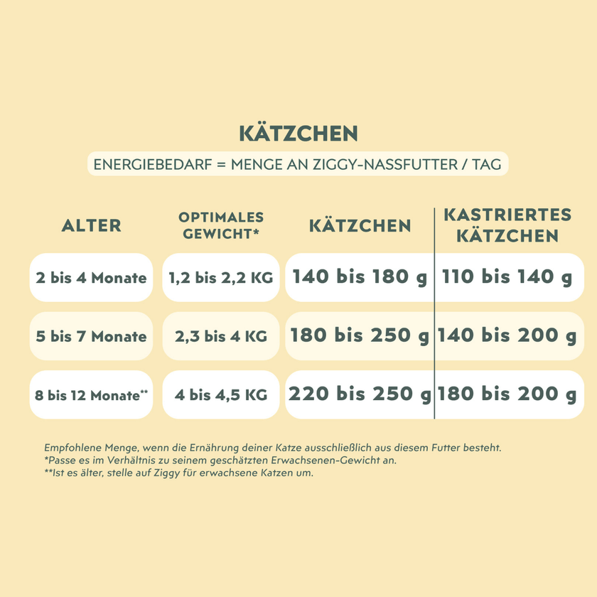 Futtermenge Ziggy, die einem Kätzchen entsprechend seinem Energiebedarf zu füttern ist