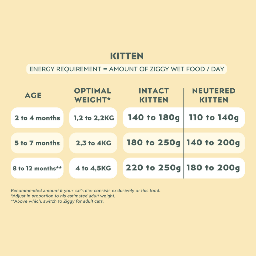 Amount of Ziggy food to give a kitten based on its energy needs