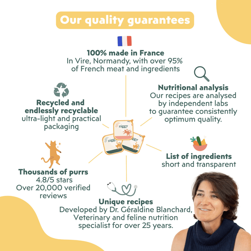 Quality guarantees for Ziggy beef kitten food, healthy and starch-free