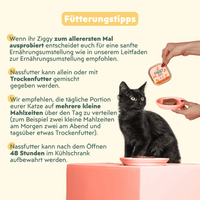 Empfehlungen zum Verzehr von Ziggy Katzenfutter für Kätzchen mit Rindfleisch, gesund und ohne Stärke