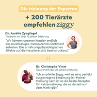 Tierärztliche Bewertung zu Ziggy Katzenfutter für Kätzchen mit Rindfleisch, gesund und ohne Stärke