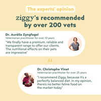 Veterinary opinion on Ziggy beef kitten food, healthy and starch-free