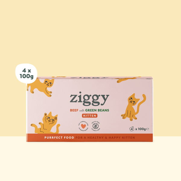 Barquette de 100g de pâtées Ziggy pour chaton au boeuf, saines et sans céréales