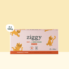 Ziggy Kitten Beef Wet Food, 4×100g pouches – 2-pack quantity option