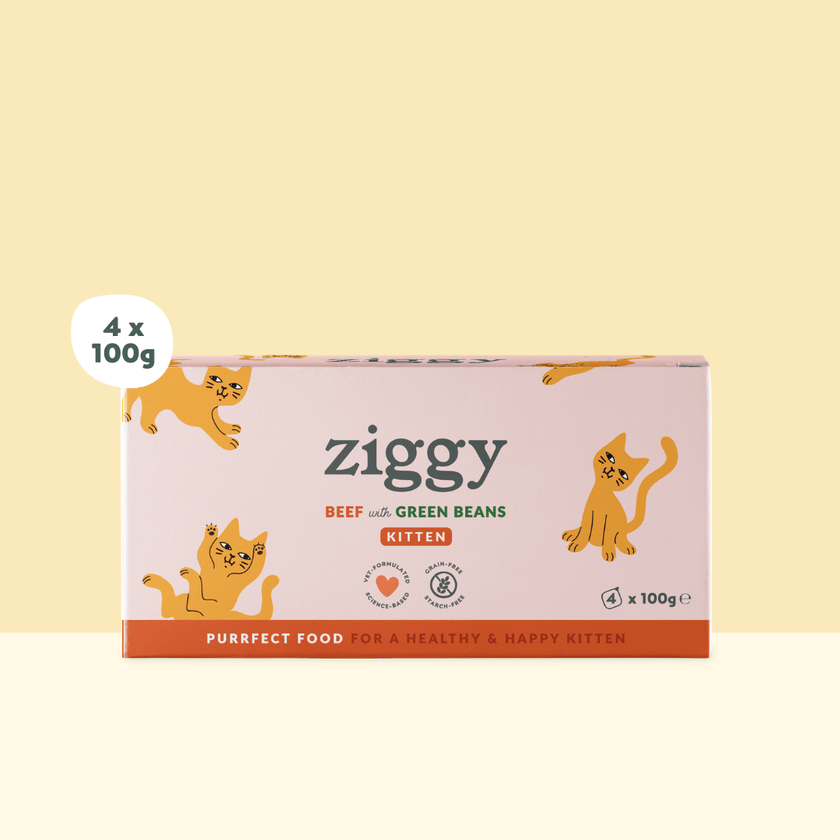 Ziggy Kitten Beef Wet Food, 4×100g pouches – 2-pack quantity option