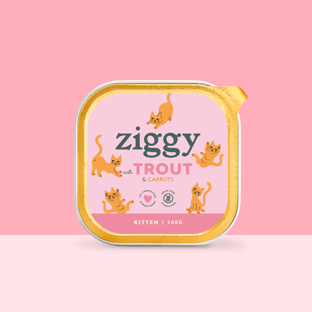 Barquette de 100g de pâtées Ziggy pour chaton à la truite, saines et sans céréales