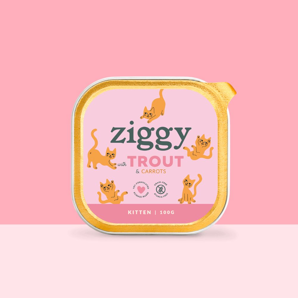 Barquette de 100g de pâtées Ziggy pour chaton à la truite, saines et sans céréales