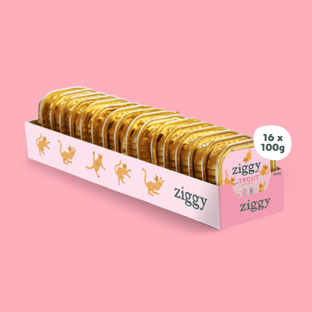 Barquette de 100g de pâtées Ziggy pour chaton à la truite, saines et sans céréales