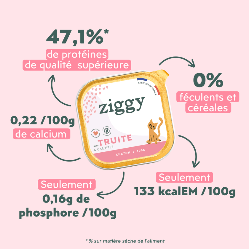 Ingrédients de la pâtée pour chaton Ziggy à la truite, saine et sans amidon