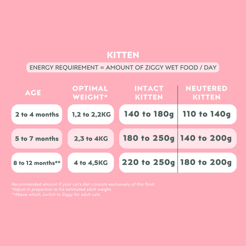 Key benefits of Ziggy Kitten Trout Wet Food – features chart for kittens