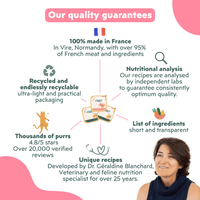 Why choose Ziggy Kitten Trout Wet Food – benefits diagram for kittens