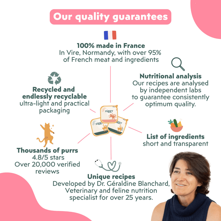 Why choose Ziggy Kitten Trout Wet Food – benefits diagram for kittens