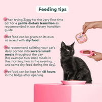 Hand holding a pouch of Ziggy Kitten Trout Wet Food, 16×100g