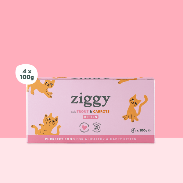 Barquette de 100g de pâtées Ziggy pour chaton à la truite, saines et sans céréales