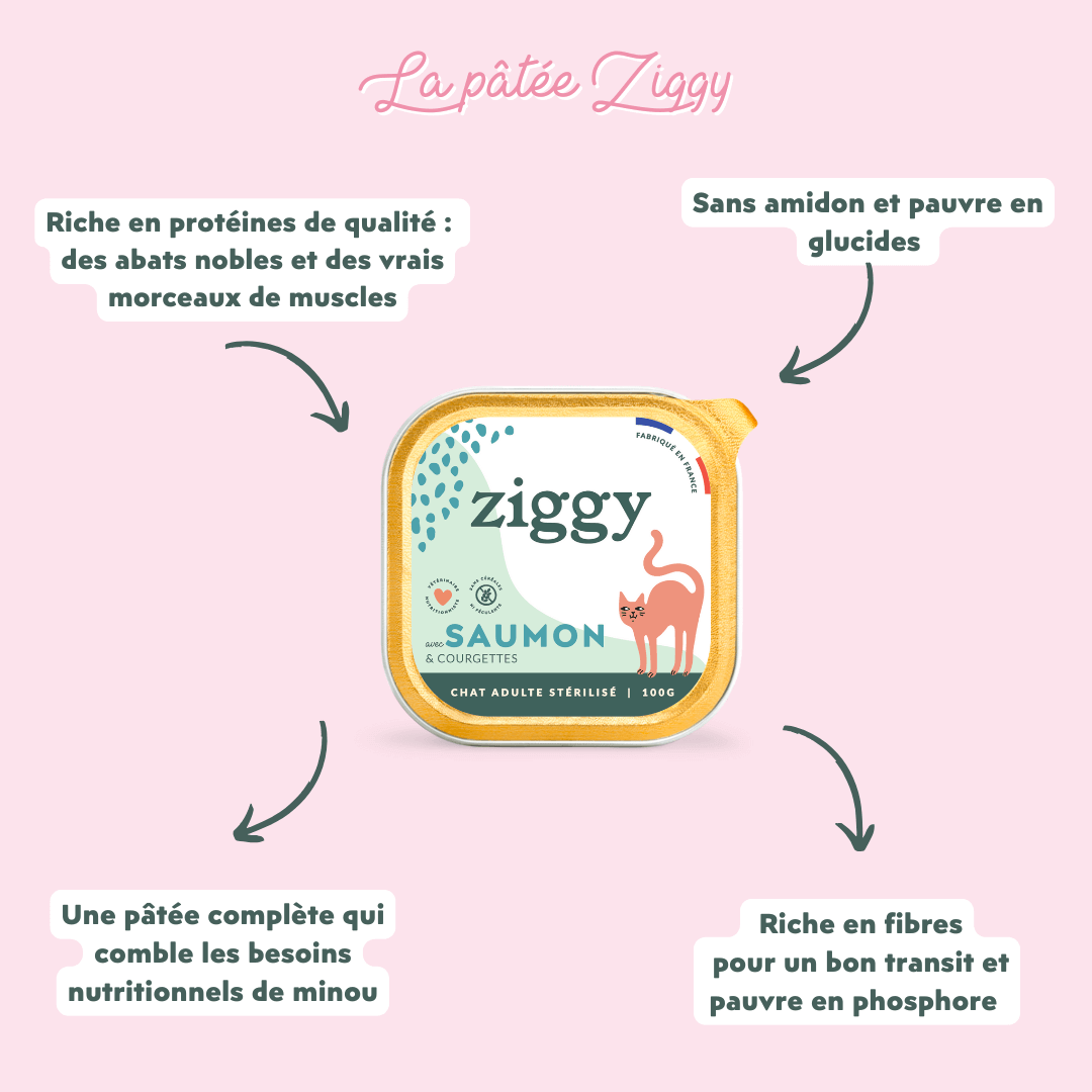 Les bienfaits de la pâtées Ziggy pour chat adulte stérilisé