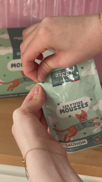 Vidéo de dégustation : texture de la mousse Ziggy servie dans la gamelle