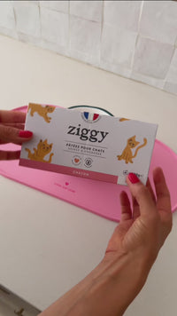 Ouverture pâtée Ziggy truite pour chaton, barquette 100g riche en protéines animales