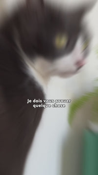 Pâtée Ziggy pour chat stérilisé testée et approuvée, 100% protéines animales