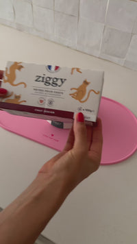 Ouverture pâtée Ziggy boeuf pour chat senior, barquette 100g faible en phosphore
