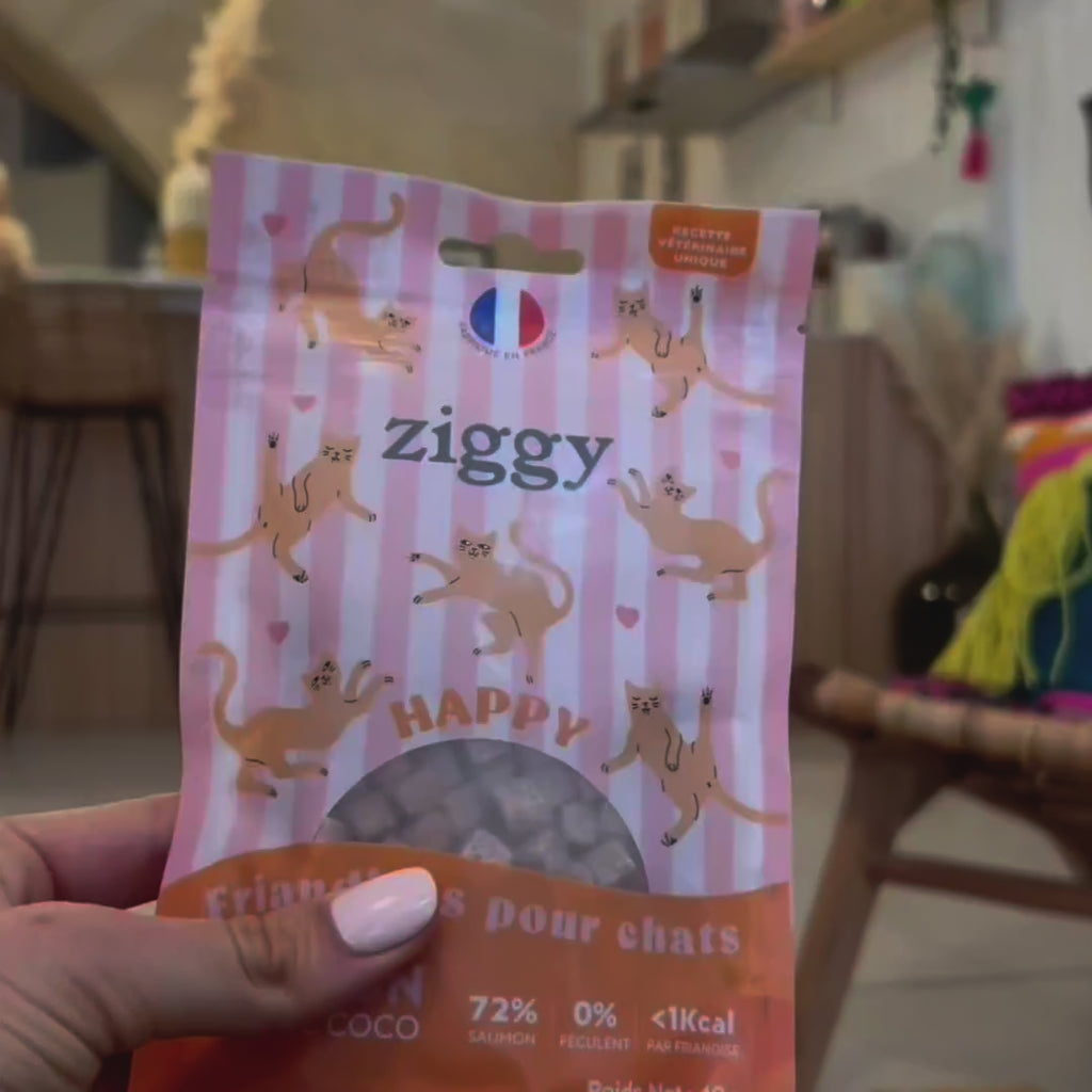 Vidéo d'un chat qui adore les friandises pour chat Ziggy au Saumon et à la Coco