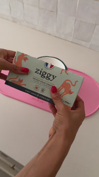 Ouverture pâtée Ziggy saumon pour chat stérilisé, barquette 100g, 0% céréales