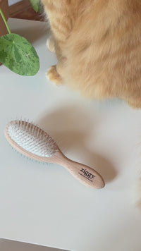 Brosse Ziggy double face en bois de frêne français, présentation rapide du produit