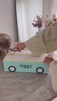 Ouverture commande pâtées Ziggy pour chat stérilisé, sans céréales, fabriquées en France