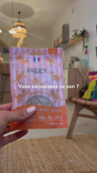 Ouverture friandises Ziggy au saumon, 72% de vrai saumon, sans céréales ni féculents