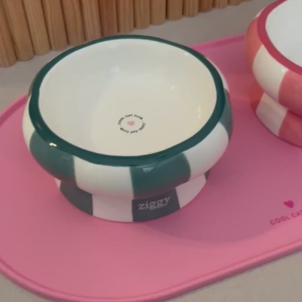 Vidéo de présentation des gamelles pour chat et tapis de gamelle pour chat Ziggy