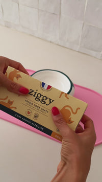 Ouverture pâtée Ziggy poulet pour chat stérilisé, barquette 100g sans amidon, fabriquée en France