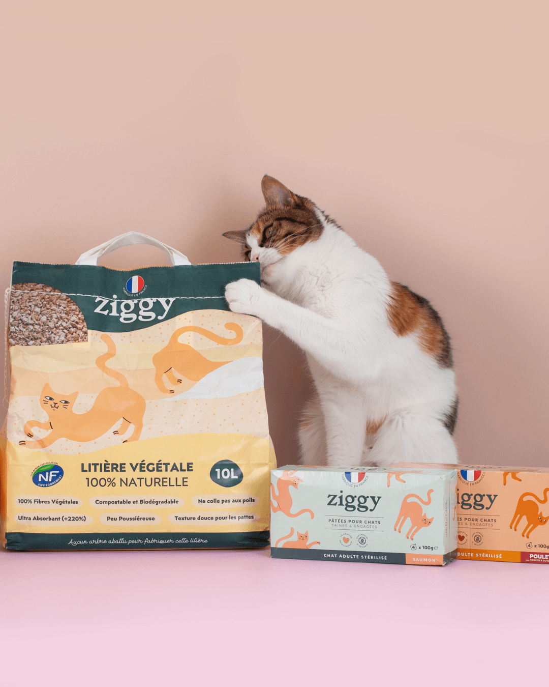 Fabrication de la litière végétale 100% naturelle pour chats Ziggy