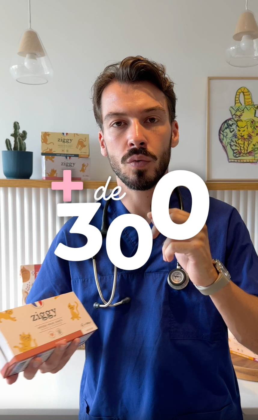 +300 vétérinaires recommandent la nutrition féline Ziggy, alimentation saine et équilibrée pour votre chat